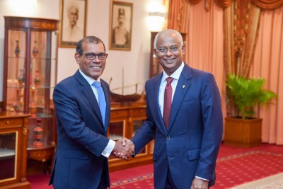 ޑިމޮކްރެޓްސްއަށް އެމްޑީޕީއާއި ޕީޕީއެމްގެ ސަޕޯޓުވެސް ބޭނުންވޭ: ނަޝީދު
