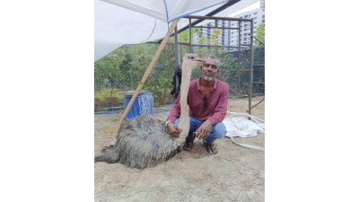 ތޫނު އެއްޗަކުން ހަމަލާދީ ޒަޚަމްކޮށްލި އޮސްޓްރިޗް މަރުވެއްޖެ