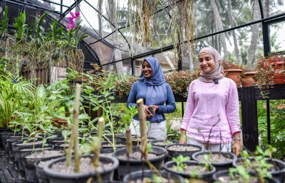 ކިޔައި މިދެނީ ރިސޯޓުތަކުން އަންހެނުންނަށް ހުރި ފަހި ފުރުސަތުތަކުގެ ވާހަކަ