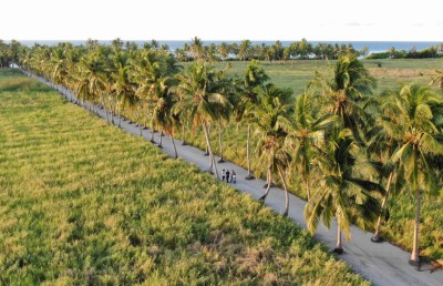 ތޮއްޑޫގައި ބާރު ސްޕީޑުގައި ދުއްވި ސައިކަލަކުން ޖެހި ތުއްތު ކުއްޖަކަށް ވަރަށް ބޮޑު އަނިޔާވެއްޖެ