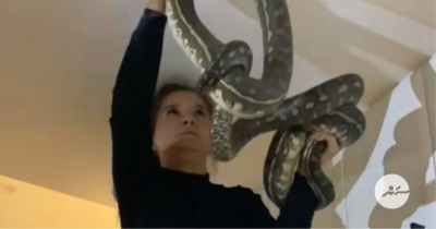 އޮސްޓްރޭލިޔާގެ ގެއެއްގެ ސީލިންގް ތެރެއިން ބޮޑު ދެ ހަރުފަ ނެރެފި