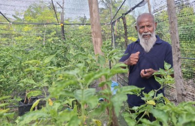 70 އަހަރާ ގާތްކުރަނީ، މަސައްކަތުގައި އަދިވެސް 100