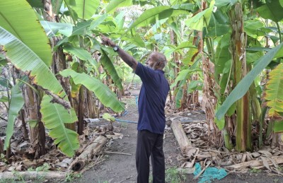 70 އަހަރާ ގާތްކުރަނީ، މަސައްކަތުގައި އަދިވެސް 100