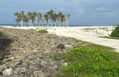 ހަންކެޑެ މަޝްރޫއު ހުއްޓާލުން ގޯސް، ސަރުކާރުގެ ނިންމުން ބަދަލުކުރަން ޖެހޭ: އަޒާން