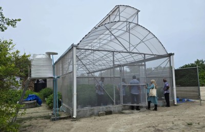 އުތުރުގެ 12 ރަށެއްގައި ގްރީންހައުސް ހަދައިފި