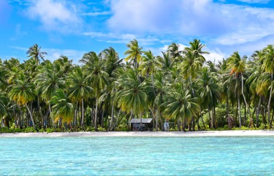 ކަދުރު ރުކުގެ ބަހުސް ވަރަށް މަތީގައި