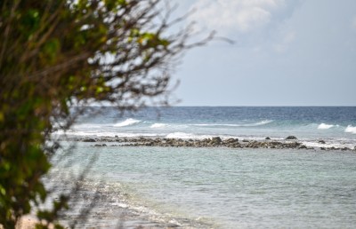 ރަށަށް ބަޔަކު އަރައި މަރާލީ ކަމުގެ ޝައްކު ބޮޑުވެއްޖެ!