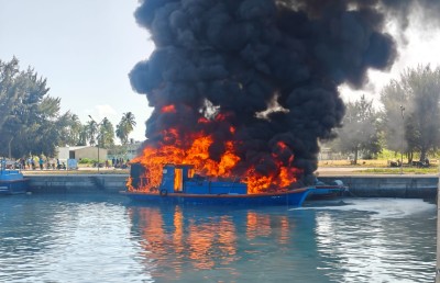 ވިލުފުށިން ރޯވި ދޯނީގެ ވެރިޔާގެ ހަށިގަނޑުން 37 ޕަސެންޓު ފިހިފައި!