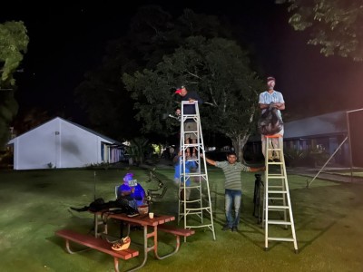 އުދަބާނި އަރާނީ އަންނަ ސެޕްޓެމްބަރުގައި