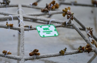 ހުޅުމާލެ ޗެނަލް ޕާކުގައި މުރަކަ އާލާކުރަނީ