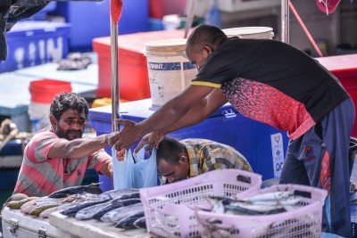 މަސްވެރިންނަށް ސަރުކާރުން ދޭންޖެހޭ 106 މިލިއަން ރުފިޔާ މިރޭ ދެނީ