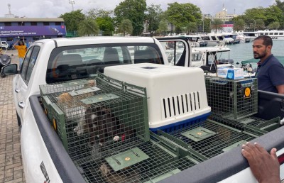 އޮޅުހިޔާގެ ޖާގަ 100 އަށް ބޮޑުކޮށް، އިތުރު 75 ބުޅާ މަގުތަކުން ނަގައިފި