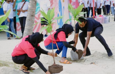 އަހަރީ ދުވަހަށް ސޮނީ ހާޑްވެއާއިން ކުޑަގިރީގައި ގަސް އިންދައިފި