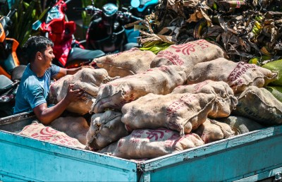 ޝޯޓޭޖަށް ހައްލެއް ގެނައުމަށް އެސްޓީއޯ އިން ފިޔާގެ ސްޓޮކެއް ގެންނަނީ