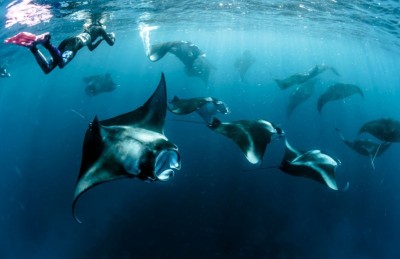 ހަނިފަރު ސަރަހައްދު ބަލަހައްޓާ ވޮޗްޓަވާއެއް ދަރަވަންދޫގައި ބަހައްޓަނީ