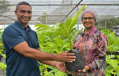 ދަނޑުވެރިކަމާ ބެހޭ މިނިސްޓްރީން ށ. އަތޮޅަށް 1،000 އަށް ވުރެ ގިނަ ގަސް ފޮނުވައިފި