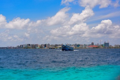 މަރުވެފައި އޮތް ދިވެއްސެއް ކަނޑުމަތިން ފެނިއްޖެ