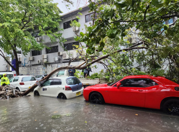 ވިއްސާރައިގައި ގަހެއް ވެއްޓި، ޕީއެސްއެމް ކައިރީ އޮތް ކާރަކަށް ގެއްލުންވެއްޖެ