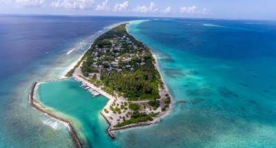 ފާހާނައަށް ވިހާފައި ކުއްޖާ އެއްލައިލި މަންމައަށް ދައުވާކޮށްފި