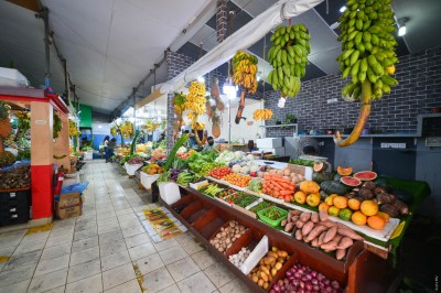 ގަވައިދާ ޚިލާފަށް، ކުދި ގޯޅިތަކުގައި ހިންގާ ވިޔަފާރިތައް ހުއްޓުވާނަން: އާޒިމް