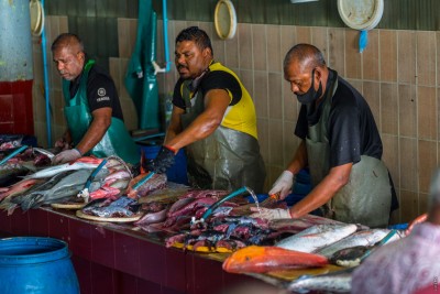 ރޯދައަށް ފަހު އާ މަސް މާރުކޭޓު އަޅަން ފަށަނީ