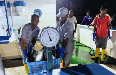 މިފްކޯއަށް ފުވައްމުލަކުން މަސް ގަންނަން ފަށައި ފުރަތަމަ ދުވަހު ހަ ޓަނު ކިރުވައިފި