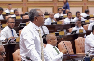 ވަޒީރުންނަށް ރުހުން ދިނުމަށް މަޖުބޫރުވާ ފަދަ އަމަލުތައް ނުކުރުމަށް ދަ ޑިމޮކްރެޓްސްއިން ގޮވާލައިިފި