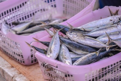 މަސްވެރިކަމުގެ އުފެއްދުންތައް އިޝްތިހާރު ކުރަން ކުންފުންޏެއް އުފައްދައިފި