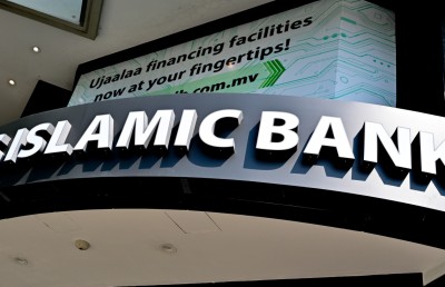 ތިން މިލިއަން ޑޮލަރުގެ ލޯނެއް ނުދެއްކިގެން ގ. ފަނަސް ނީލަމުގައި ވިއްކާލަނީ