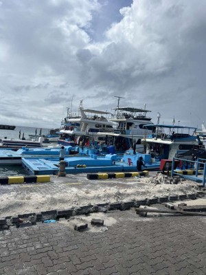 މިފްކޯއިން ބުނީ މިހާރު ދެވޭނީ ހަފުތާއެއްގެ ފައިސާ ކަމަށް: މަސްވެރިން