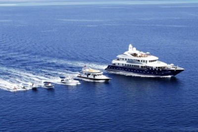 ފީނަން އުޅުނު، ސްވިޒަލޭންޑުގެ ފަތުރުވެރިއަކު މަރުވެއްޖެ