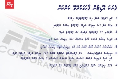 ފެނަކަ ހުލިކޮށްލާއިރު ބަލަހައްޓައިގެން ނުތިބެ އޯވަހޯލް ކުރަންޖެހޭ!