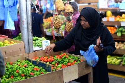 ބާޒާރުގައި ކަނޑޫދޫ މިރުހުގެ އަގު ވަރަށް ބޮޑަށް ދަށަށް