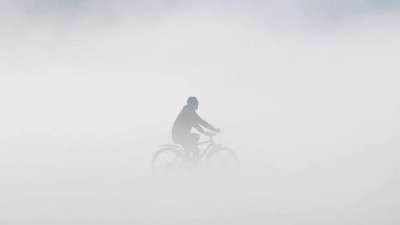 ދުނިޔޭގެ 'އެންމެ ތަޣައްޔަރު'ވެފައިވާ ވެރިރަށަކީ އިންޑިއާގެ ދިއްލީ