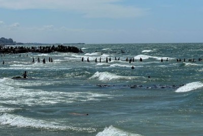 ޣައްޒާއަށް ގެންދިޔަ އެހީގެ ސާމާނުތައް އަޅާލީ ކަނޑަށް، އެ ހޯދަން އެރުނު 12 މީހަކު މަރު