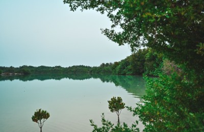 ނަލަންދޫގައި ރިސޯޓެއް ހަދާނެ ބަޔަކު ހޯދަން ތިންވަނަ ފަހަރަށް އިއުލާންކޮށްފި