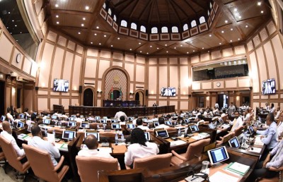 އެންޓި ޑިފެކްޝަން ގާނޫނު: ނަމެއްގައި ކުރި ޖެއްސުމެއް؟