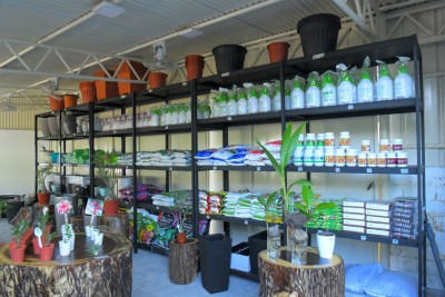 ޚަރަދު ބޮޑުވާތީ މާލޭ ސިޓީ ކައުންސިލުގެ ގަސް ފިހާރަތައް ހުޅުމާލެއަށް