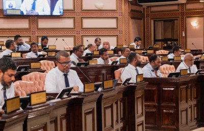 އެސްއީޒެޑްގެ ގާނޫނަށް ގެންނަ އިސްލާހު ކޮމިޓީން ފާސްކޮށްފި