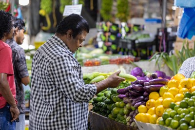 ކާބޯތަކެތީގެ ރައްކާތެރިކަމުގެ ބިލު ތަސްދީގުކުރައްވައިފި