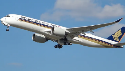 ކޮޅިގަނޑެއްގައި ޖެހި ސިންގަޕޯ އެއާލައިންސް ފްލައިޓެއްގައި މީހަކު މަރުވެ ގިނަ ބަަޔަކަށް އަނިޔާވެއްޖެ