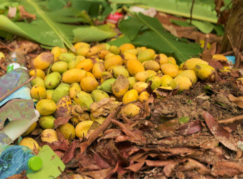 ''މެންގޯ އައިލެންޑް''ގެ ރައްޔިތުން އަނބަށް ހަދާނެގޮތެއް ނޭނގިފައި