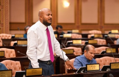 އެސްއީޒެޑްގެ ގޮތުގައި ޓައުންޝިޕް ތަރައްގީކުރެވޭ އިސްލާހު ފާސްކޮށްފި