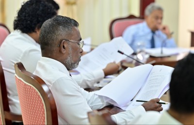 އެފްއެސްއެމްގެ ހާލަތު ރަނގަޅު ކުރުމުގެ އެއް ހުރަހަކީ މެންބަރުންގެ ފޯނު ކޯލުތަކާއި ރިކުއެސްޓްތައް: އެމްޑީ