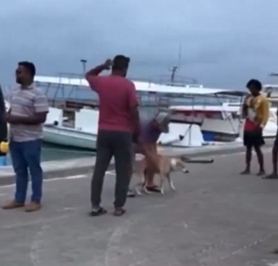 ޔޮޓަކުން ތުލުސްދުއަށް ކުއްތާއެއް ބޭލި މައްސަލައެއް