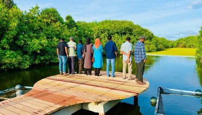 ތިނަދޫ ކުޅި މުއްސަނދި ކުރަން ދޫނިތަކެއް ހިމާޔަތްކޮށްފި