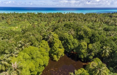 ގަސް ޕްރޮގްރާމަށް ގަމުގައި ހަދާ ދެ ނާސަރީގެ މަސައްކަތް އެޗްޑީސީއާ ހަވާލުކޮށްފި