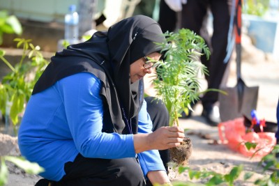 ތަފާތު 7 ދާއިރާއިން ދިވެހީން ތަމްރީނު ކުރުމަށް އެޗްޑީސީގެ ޕްރޮގްރާމެއް