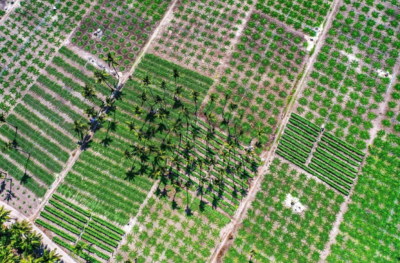 ތޮއްޑޫގައި ދަނޑުބިމުގެ މައްސަލައެއްގައި ކުރި މުޒާހަރާއެއްގައި ފުލުހަކަށް އަނިޔާވެއްޖެ