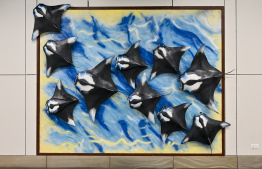 ހަނިމާދޫ އެއާޕޯޓާ އެކު އިގްތިސާދު ފުޅާކުރަންޖެހޭ: އިބޫ